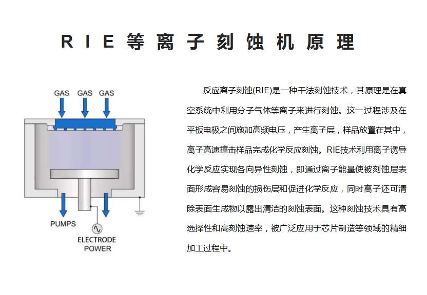 详情介绍-RIE(逐页832px)_01.png